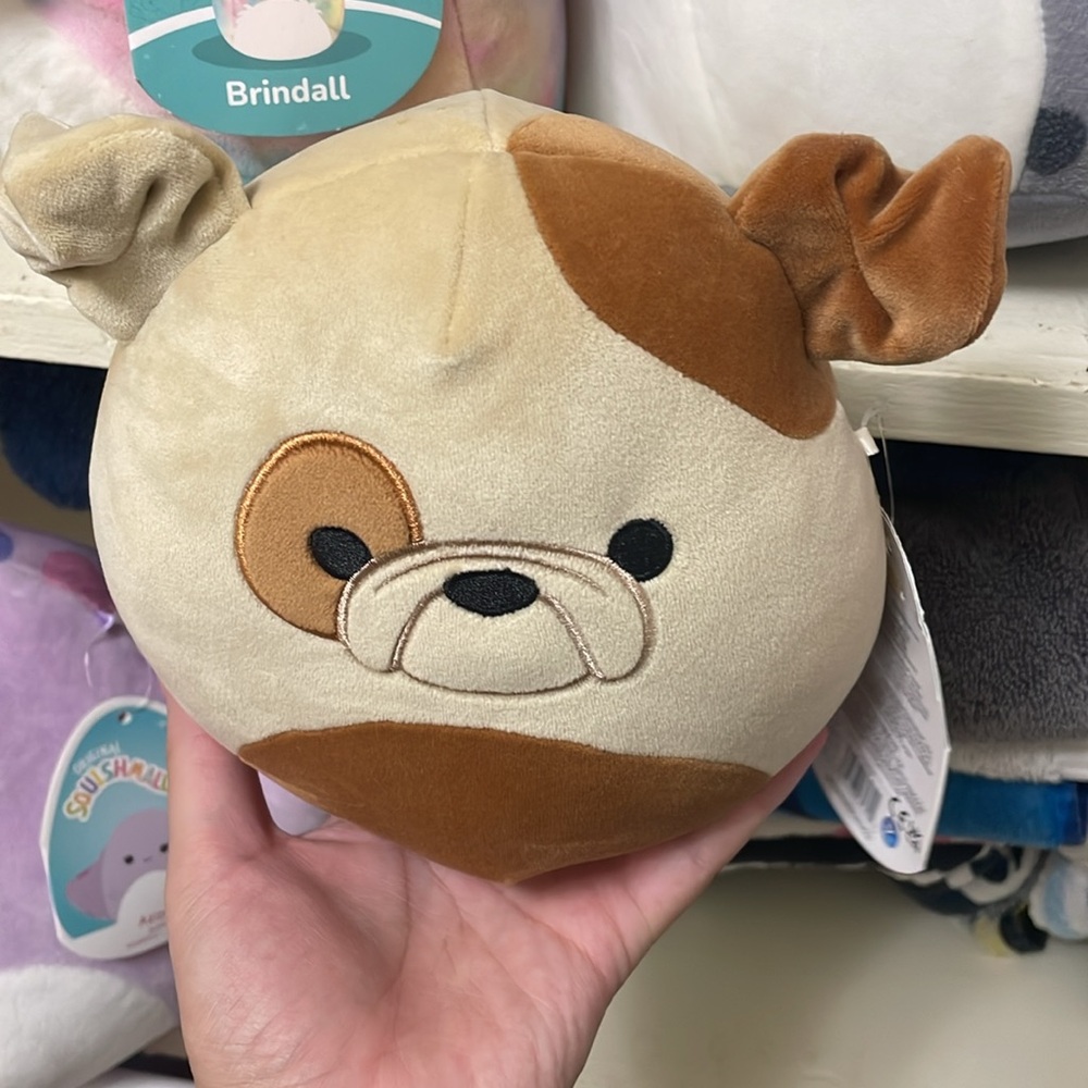 Squishmallow. - Picture 5 of 5